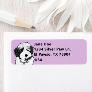 Niedlich Havanese