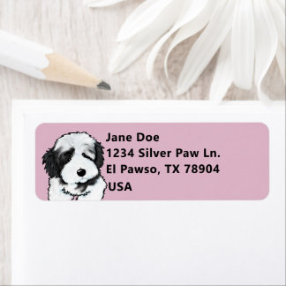 Niedlich Havanese