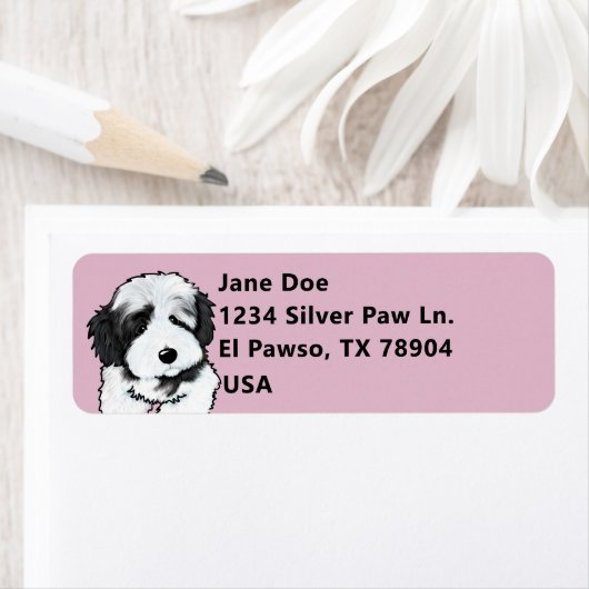 Niedlich Havanese (Insitu)