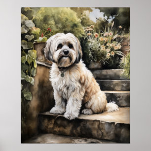 Niedlich Havanese Dog Art Print Poster