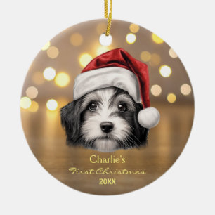 Niedlich Havanese Hund Weihnachtsmannmütze 1. Weih Keramik Ornament