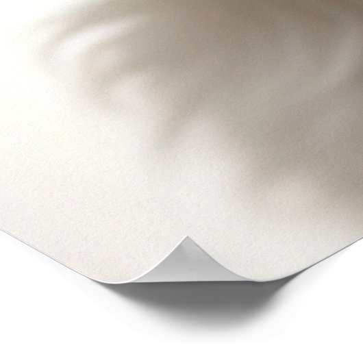 Niedlich Havanese Puppy Dog Portrait Poster (1) (Ecke)