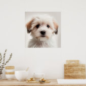 Niedlich Havanese Puppy Dog Portrait Poster (1) (Küche)