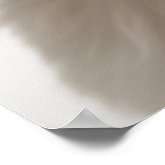 Niedlich Havanese Puppy Dog Portrait Poster (2) (Ecke)