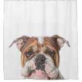 Niedlich Head Bulldog English Bulldog Lover Gesche Duschvorhang (Vorderseite)