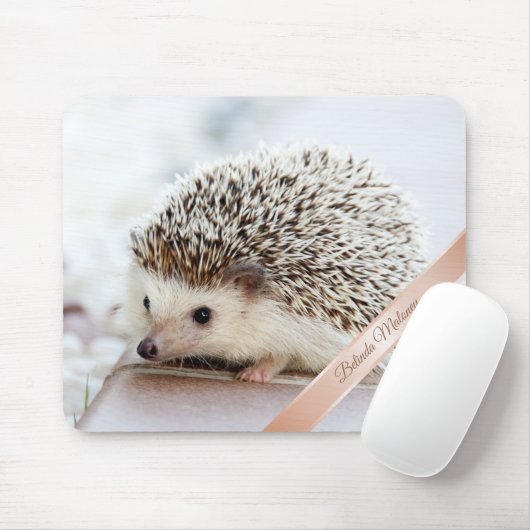 Niedlich Hedgehoog Monogramm  Mousepad (Mit Mouse)