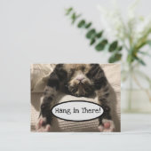 Niedlich Henry Cat Hang in There Foto Postkarte (Stehend Vorderseite)