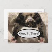 Niedlich Henry Cat Hang in There Foto Postkarte (Vorne/Hinten)