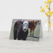 Niedlich Herzlichen Glückwunsch Vet Graduate - Ran Karte (Gelbe Blume)