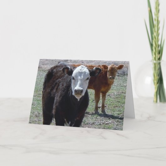 Niedlich Herzlichen Glückwunsch Vet Graduate - Ran Karte (Vorderseite)