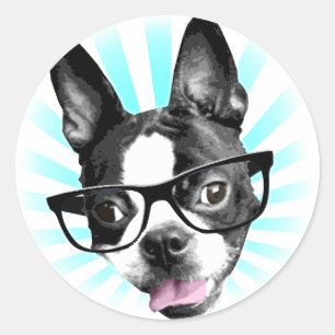 Niedlich! Hipster Boston Terrier Runder Aufkleber