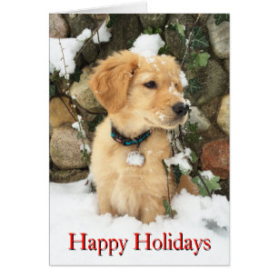 Niedlich Holiday Puppy Labrador Retriever