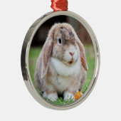 Niedlich Holland Lop Zwarf Kaninchen Ornament Aus Metall (Rechts)