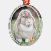 Niedlich Holland Lop Zwarf Kaninchen Ornament Aus Metall (Links)