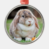 Niedlich Holland Lop Zwarf Kaninchen Ornament Aus Metall (Vorne)