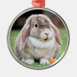 Niedlich Holland Lop Zwarf Kaninchen Ornament Aus Metall