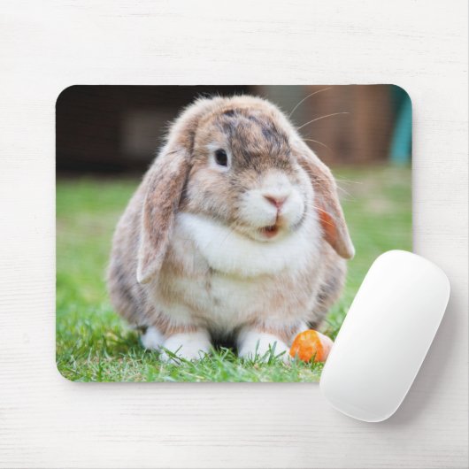 Niedlich Holland Mini Lop Bunny Rabbit Mousepad (Mit Mouse)