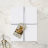 Niedlich Honey Bear Teddy - Handmade Nähen Geschenkanhänger (Mit Garn)