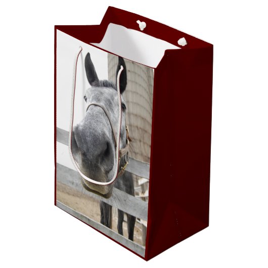 Niedlich Hors Closements Mittlere Geschenktüte (Vorderseite Schrägansicht)