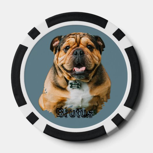 Niedlich Hund Französisches Bulldog-Foto Pokerchips (Rückseite)