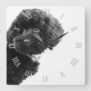 © Niedlich Hund Welpen Schwarz/Weiß/Fotografie Quadratische Wanduhr