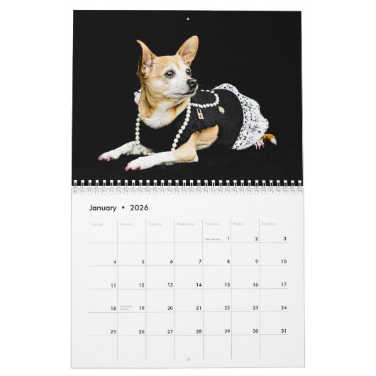 Niedlich Hunde Foto Art Design 2024Monatlich Kalender (Jan 2026)