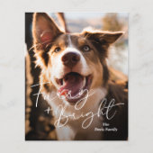 Niedlich Hunde Foto Moderne Weihnachtskarte (Vorderseite)