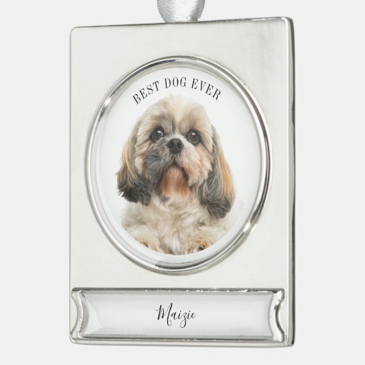 Niedlich Hunde Foto Personalisiert Urlaub für Haus Banner-Ornament Silber (Links)