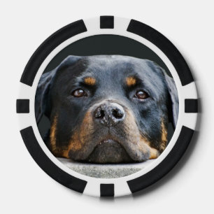 Niedlich Hunde Foto Poker Chips