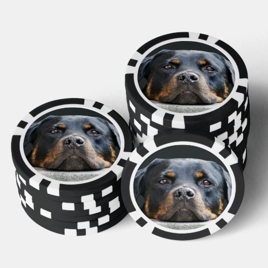 Niedlich Hunde Foto Poker Chips (Stapel)