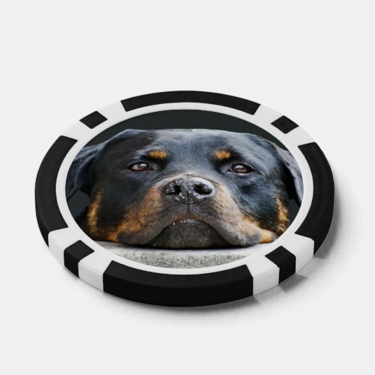 Niedlich Hunde Foto Poker Chips (Einzeln)