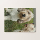 Niedlich Hunde Foto Puzzle (Horizontal)