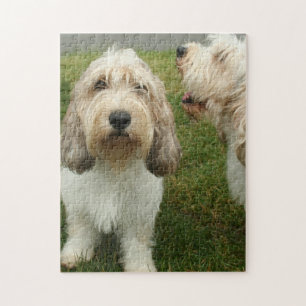 Niedlich Hunde Foto Puzzle