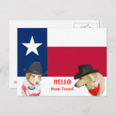 Niedlich Hunde Hallo aus Texas! Postkarte (Vorne/Hinten)