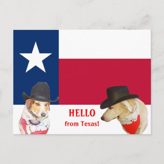 Niedlich Hunde Hallo aus Texas! Postkarte (Vorderseite)