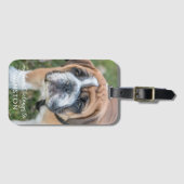 Niedlich Hunde Hund Foto Personalisiert Gepäckanhänger (Vorderseite (Horizontal))