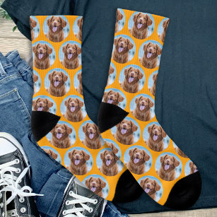 Niedlich Hunde Orange Foto Socken