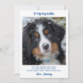 Niedlich Hundeschwalker Custom Pet Puppy Foto Viel Karte (Vorderseite)