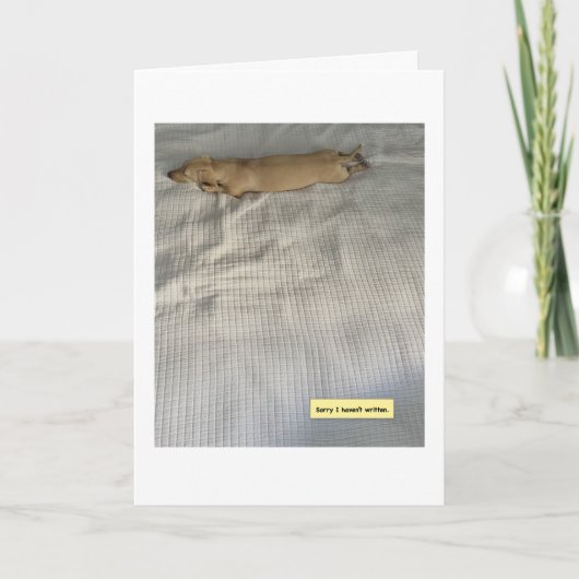 Niedlich, ich war beschäftigt, Dachshund Karte (Vorderseite)