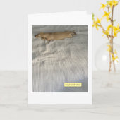 Niedlich, ich war beschäftigt, Dachshund Karte (Gelbe Blume)