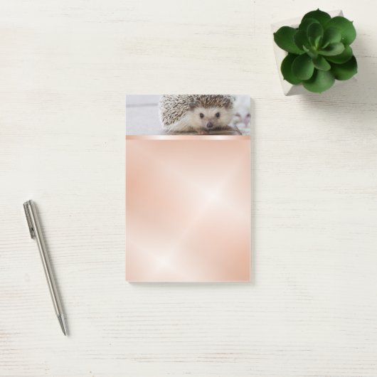 Niedlich Igel Foto Rose Gold Post-it Klebezettel (Büro)
