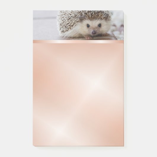 Niedlich Igel Foto Rose Gold Post-it Klebezettel (Vorderseite)