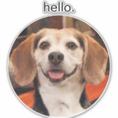 Niedlich Ihr Haustier Foto Hallo Aufkleber (Vorderseite)