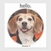 Niedlich Ihr Haustier Foto Hallo Aufkleber (Blatt)