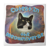 Niedlich im Meowniverse Fliese (Vorderseite)