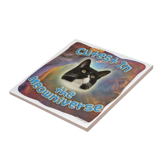 Niedlich im Meowniverse Fliese (Seite)