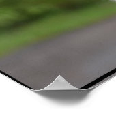 Niedlich Irish Wolfhound Poster (Ecke)