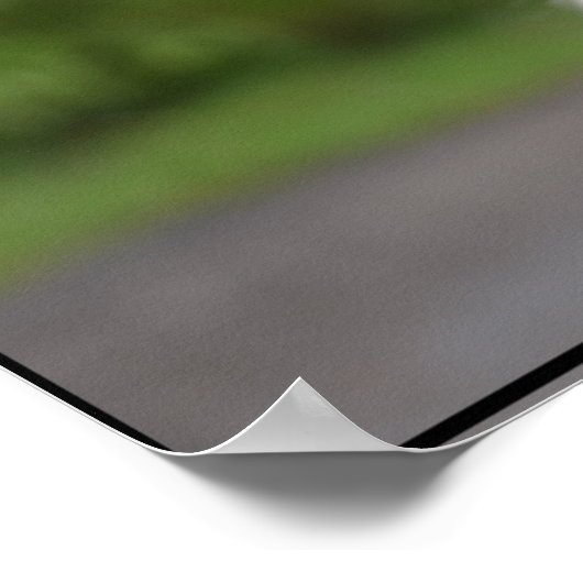 Niedlich Irish Wolfhound Poster (Ecke)