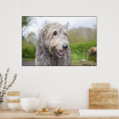Niedlich Irish Wolfhound Poster (Küche)