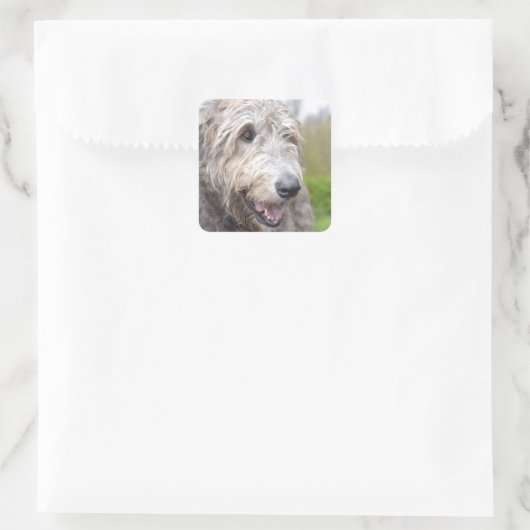Niedlich Irish Wolfhound Quadratischer Aufkleber (Tasche)